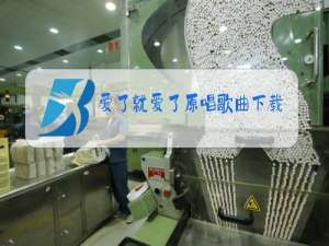 爱了就爱了原唱歌曲下载