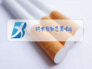 阿木别知己原唱dj