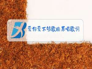 爱你爱不够歌曲原唱歌词
