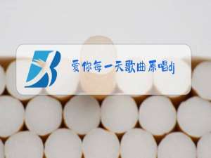 爱你每一天歌曲原唱dj