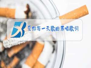 爱你每一天歌曲原唱歌词