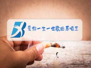爱你一生一世歌曲原唱王不再擦肩而一过