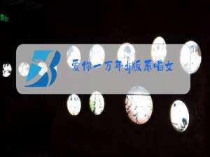 爱你一万年dj版原唱女版