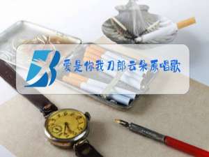 爱是你我刀郎云朵原唱歌词