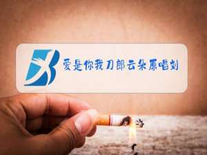 爱是你我刀郎云朵原唱刘大成唱美声唱法男高音