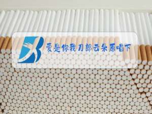 爱是你我刀郎云朵原唱下载