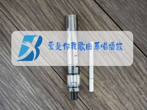 爱是你我歌曲原唱播放