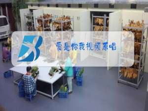 爱是你我视频原唱