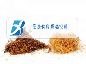 爱是你我原唱视频