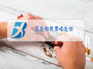 爱是你我原唱是谁?
