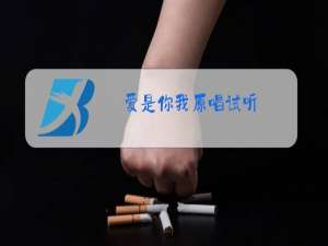 爱是你我原唱试听