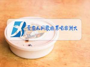 爱在人间歌曲原唱非洲大地球