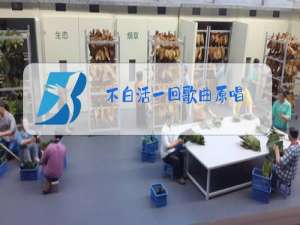 不白活一回歌曲原唱