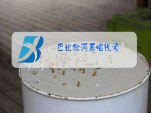 巴比伦河原唱视频