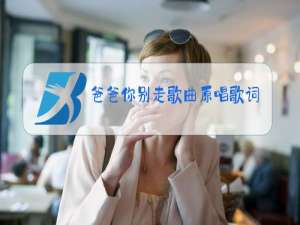 爸爸你别走歌曲原唱歌词