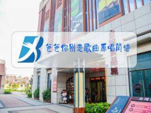 爸爸你别走歌曲原唱简谱