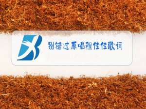 别错过原唱程佳佳歌词