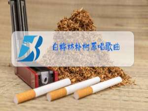 白桦林朴树原唱歌曲