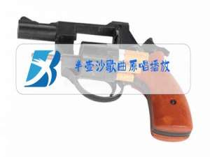 半壶沙歌曲原唱播放