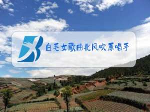 白毛女歌曲北风吹原唱手势舞