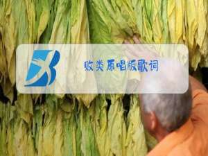 败类原唱版歌词