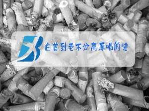 白首到老不分离原唱简谱