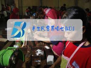 半生风雪原唱七叔DJ