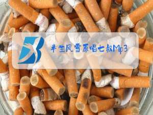 半生风雪原唱七叔Mp3下载