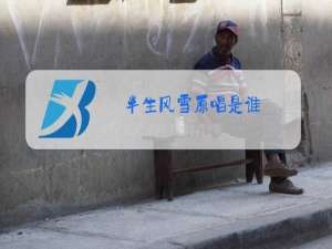 半生风雪原唱是谁