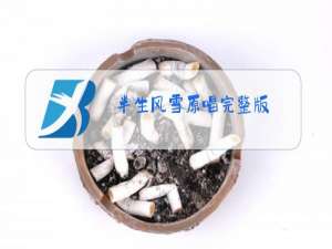 半生风雪原唱完整版