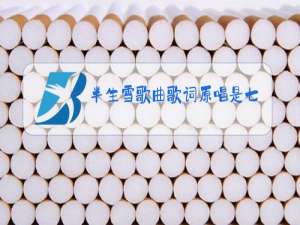半生雪歌曲歌词原唱是七叔呢