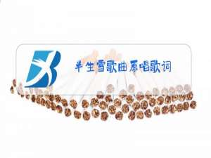 半生雪歌曲原唱歌词