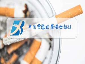 半生雪歌曲原唱七叔dJ版