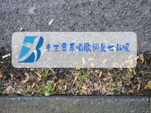 半生雪原唱歌词是七叔呢歌词