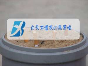 白天不懂夜的黑原唱