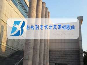 白头到老不分离原唱歌曲红尘路上常相伴