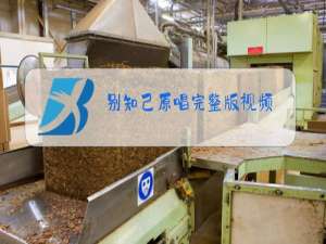 别知己原唱完整版视频