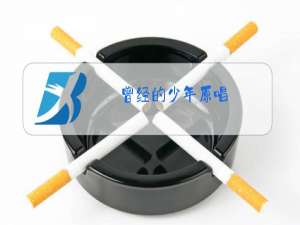 曾经的少年原唱