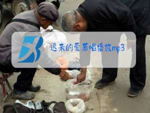 迟来的爱原唱播放mp3真的好想你