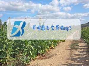 草帽歌日文原唱mp3