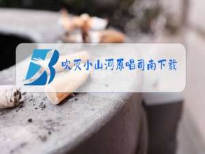 吹灭小山河原唱司南下载