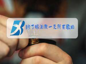 除了眼泪我一无所有歌曲原唱
