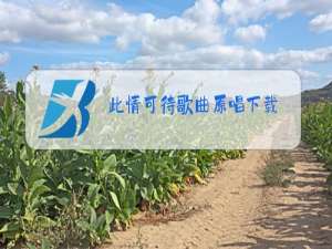 此情可待歌曲原唱下载