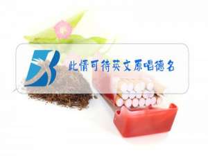 此情可待英文原唱德名