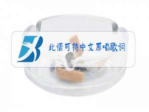 此情可待中文原唱歌词