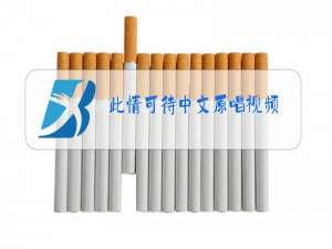 此情可待中文原唱视频