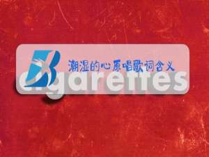 潮湿的心原唱歌词含义