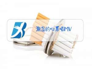 潮湿的心原唱MV