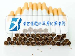 唱首情歌给草原的原唱简谱