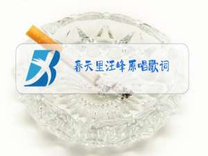 春天里汪峰原唱歌词